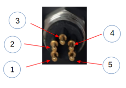 ARGES Fluorometer Pin-out Sensors by Keynes Controls