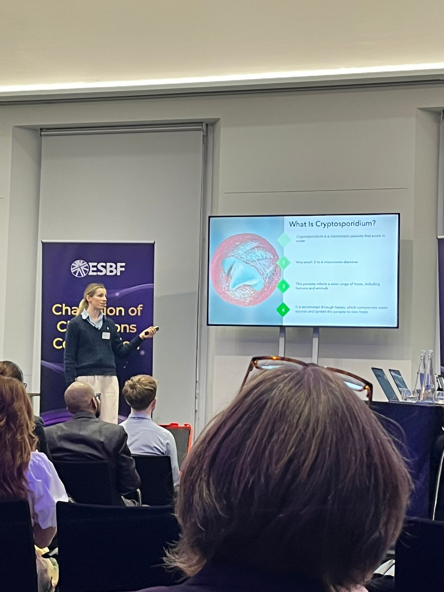 FluroGlow Presentation