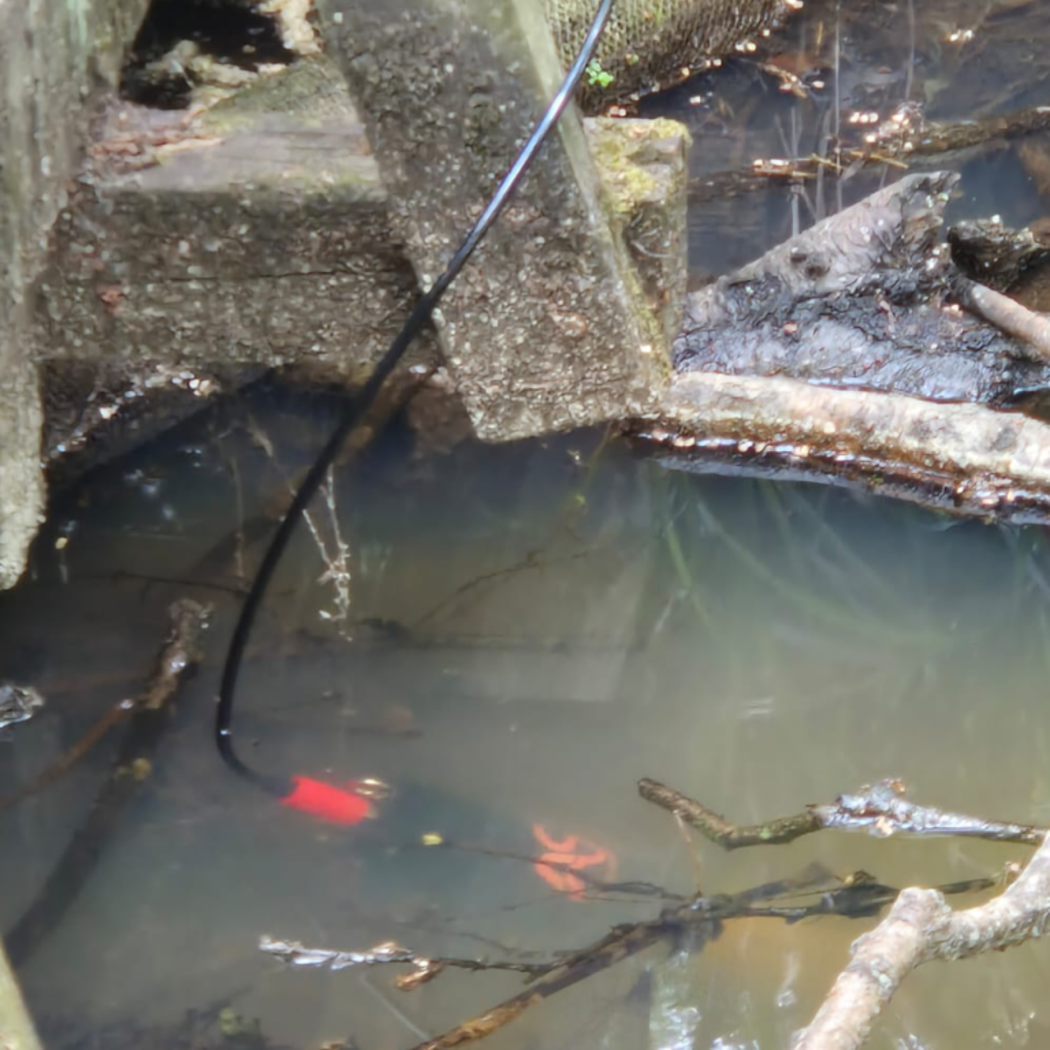 Submerged multiparameter sensor