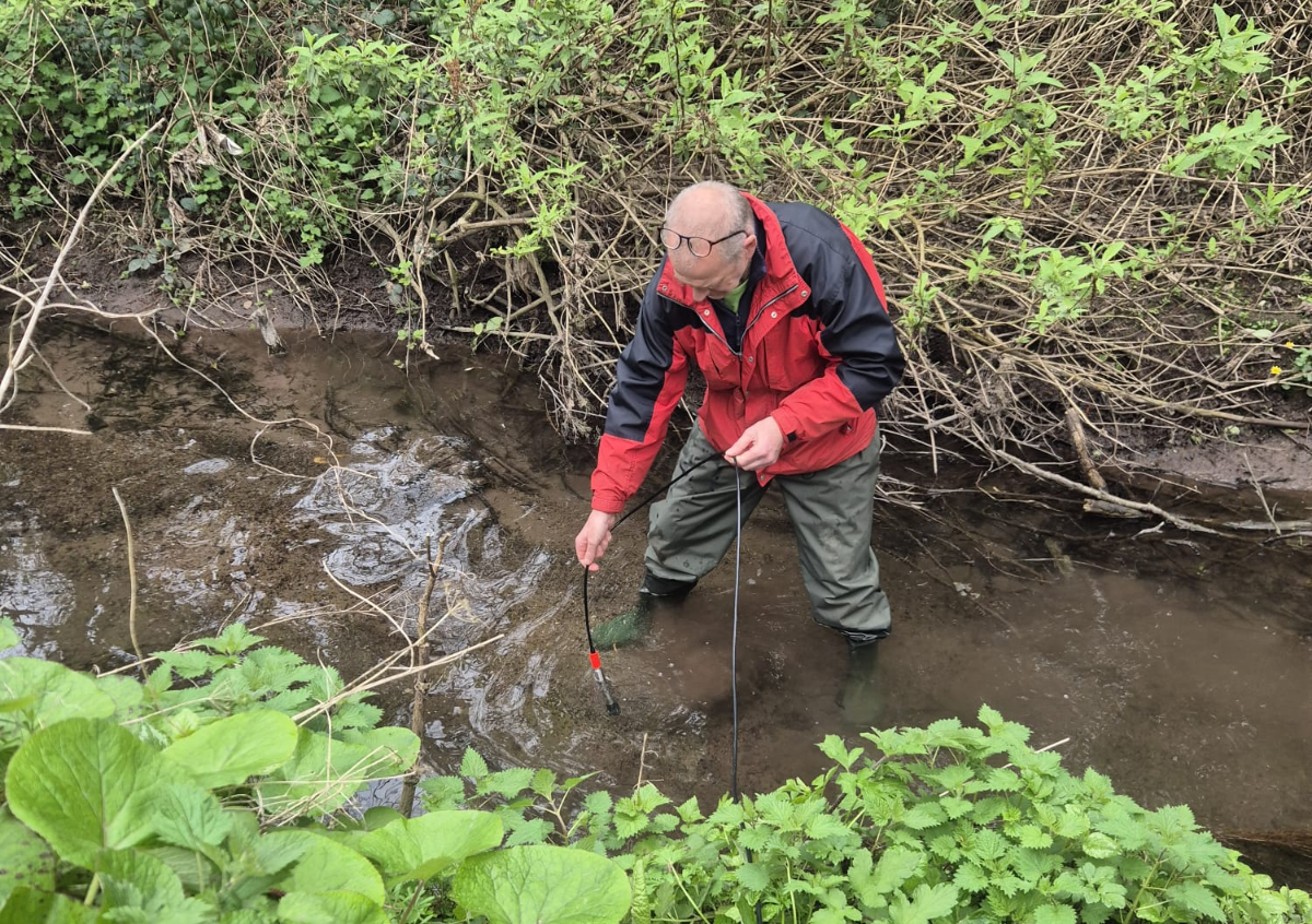Cork - Pollution test