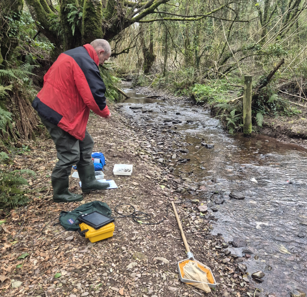 Water Ecology Testing