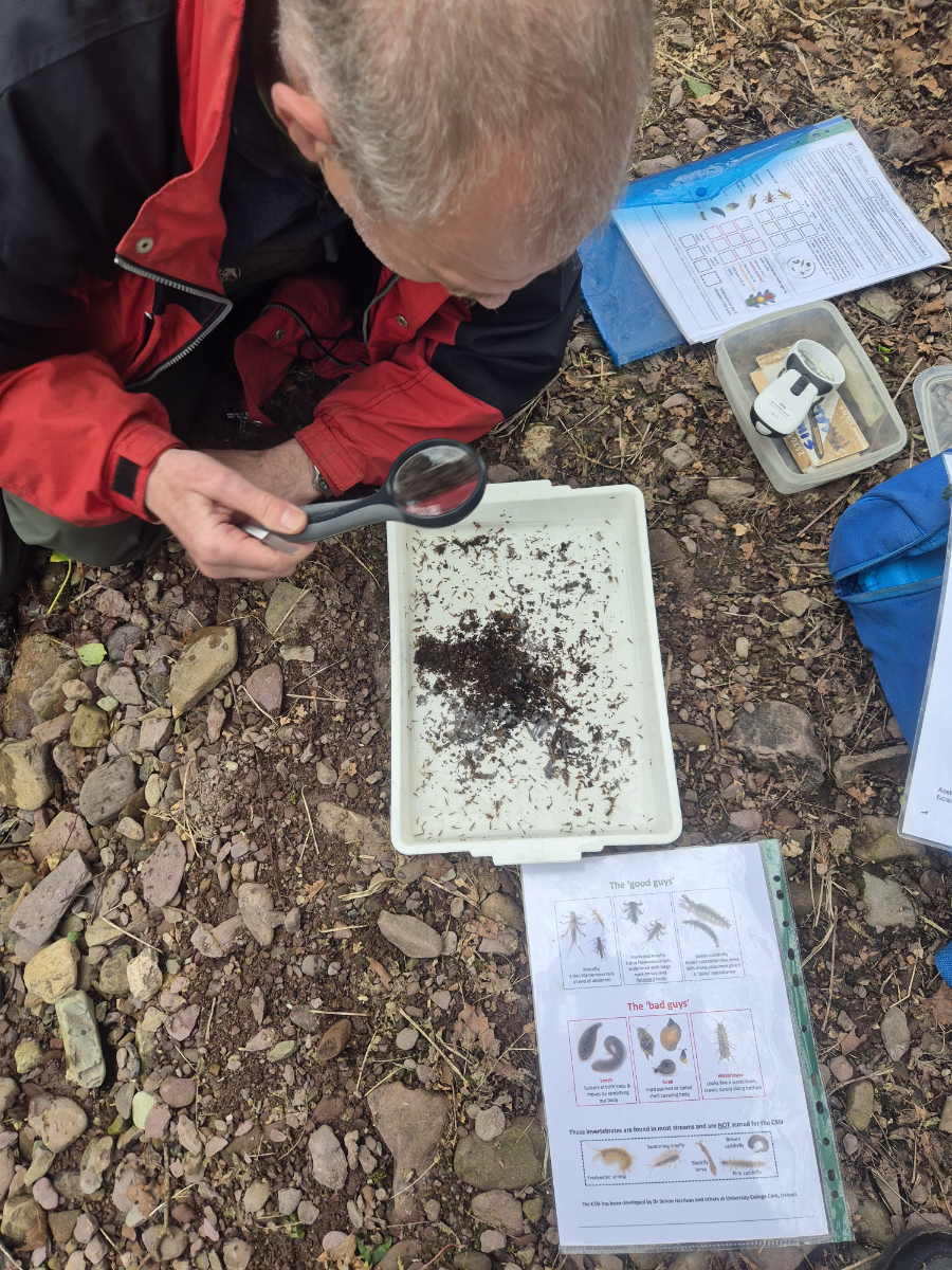 Ecology Testing Cork