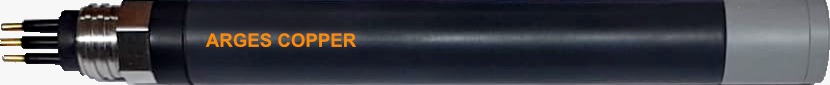 Copper Sensor